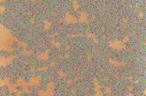 CIR Italica Terra Dolce 40x60.8 1086523