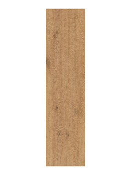 CAESAR Rever Wheat 30x120