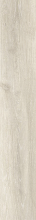 TAGINA Evoque Korina Naturale Ret. 20x120