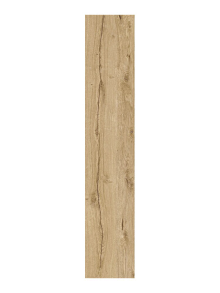 ENERGIEKER Robur Honey 30x120