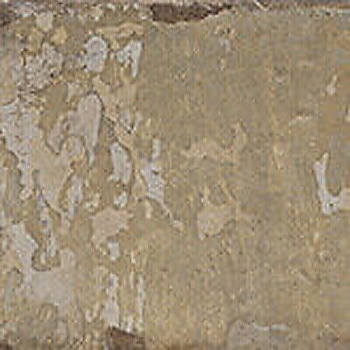 CIR Havana Pilar Verde 20x20