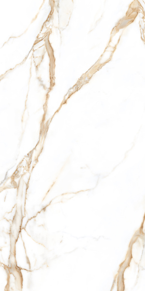 TAGINA Calacatta Gold Luc 60x120
