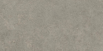 ATLAS CONCORDE Forte Dei Marmi Rock Fdmr Lunar 20mm Серый 60x120