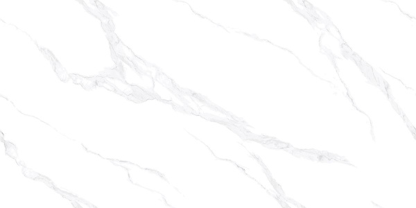 Керамогранит Absolut Gres (Абсолют Грес) Carrara Bianco полированный премиум 120x60 см, AB3116G