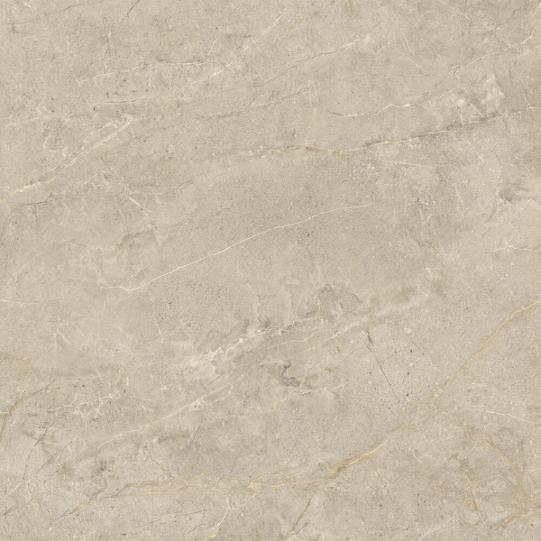 ENERGIEKER Th2 Wonder Rett Dunes 60x60