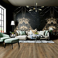 Energieker коллекция Pierre Black Energieker коллекция Pierre Black