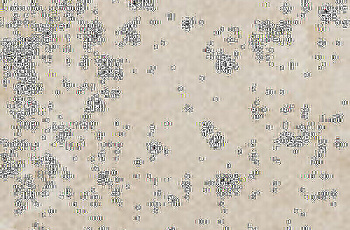 CIR In Falda Marmo Primavera 40x60.8 1073291
