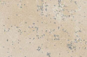 CIR Contrada Valente Trani 40x60.8 1090711