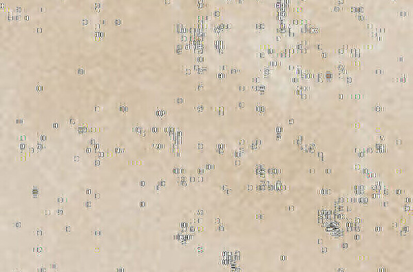 CIR Contrada Valente Trani 40x60.8 1092316