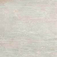 SERENISSIMA Fossil Foss Perla Lux 60x120