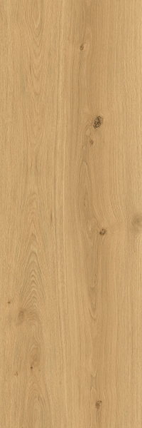 TAGINA Montalcino Rovere Dorato 40x120