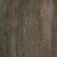 SERENISSIMA Fossil Foss Bruno 60x120