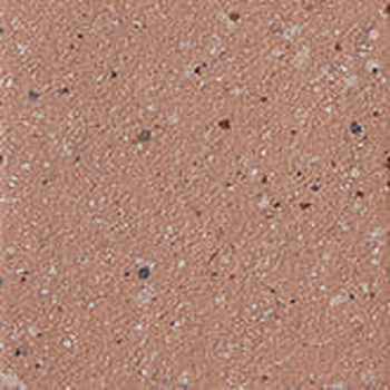 CIR Forever Color Pepper Pink 20x20