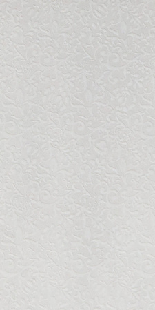 GIGACER Light Curtain 30x60