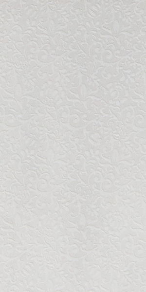 GIGACER Light Curtain 30x60