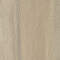SERENISSIMA I Lecci Intr Leccio Gentile 60x60