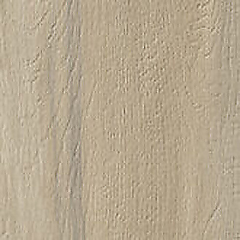SERENISSIMA I Lecci Intr Leccio Gentile 60x60