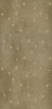 GIGACER Concrete Signs Beige Buds 120x250