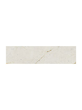 SERENISSIMA Palazzo Costa Retta Arab Oro 30x120