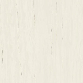 ATLAS CONCORDE Marvel Bianco Dolomite 120x120 Lappato - Marvel Stone
