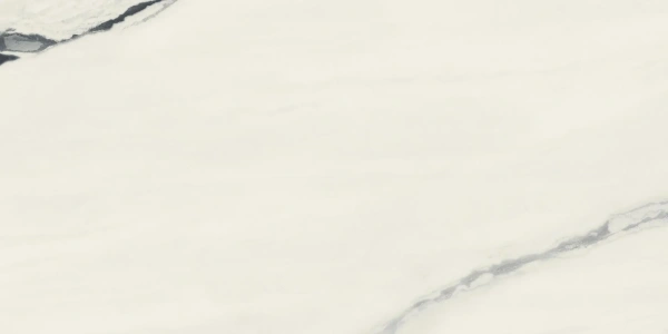 ATLAS CONCORDE Forte Dei Marmi Fdm Panda White Rett 60x120