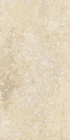 TAGINA Aurum Stone Pure Naturale 30x60