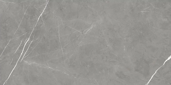 ATLAS CONCORDE Forte Dei Marmi Fdm Elegant Rett Cer 60x120
