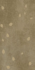 GIGACER Concrete Signs Beige Buds 60x120