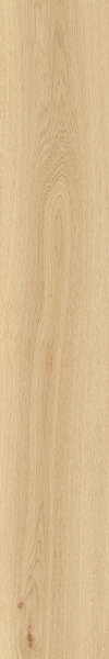TAGINA Montalcino Rovere Paglierino 20x120