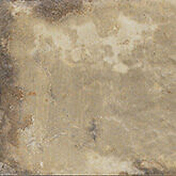 CIR Havana Tropicana 20x20