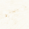 Progress NATURAL BEIGE керамогранит полированный 60x60см AB 1005G