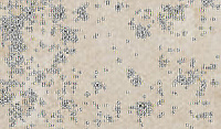 CIR Cir 2cm Outdoor Costa Retta Marmo 35x60