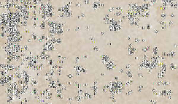 CIR Cir 2cm Outdoor Costa Retta Marmo 35x60