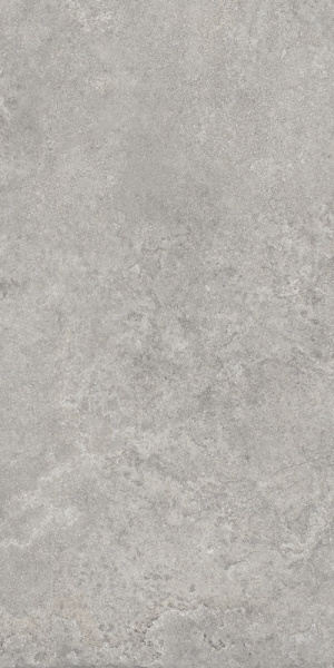 TAGINA Pierre D'avignon Gris 60x120