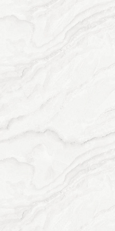 Progress SILVER ONIX керамогранит полированный  60х120 см  AB 1148G