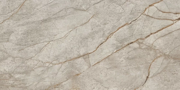 Atlas Concorde Empire Silver Root Rett Lapp 60x120