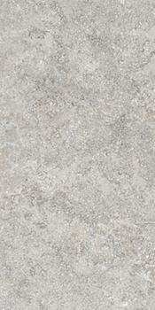 TAGINA Pierre D'avignon Gris 20x40