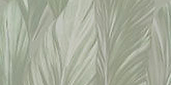 SERENISSIMA Costruire Met Verde 60x120