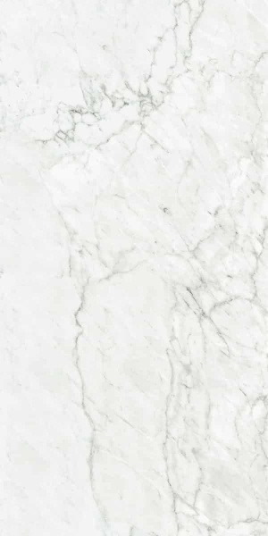 NAXOS Rhapsody White Fun Rhaps 60x120