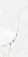 Progress ROYAL GREY LIGHT керамогранит полированный 120x60 см AB 1025G