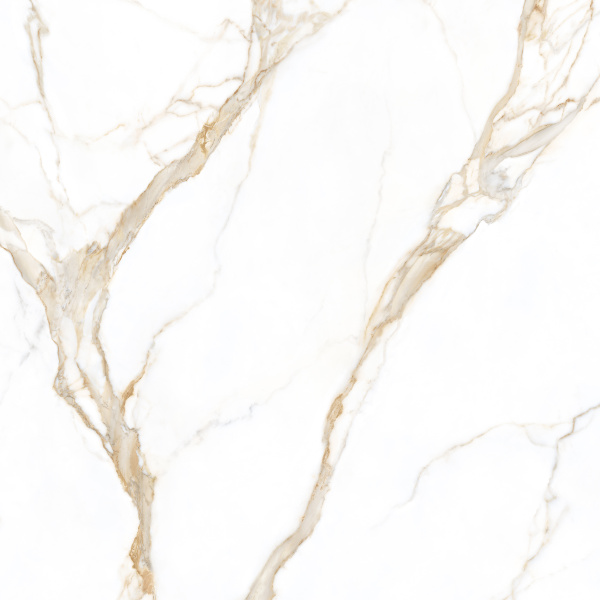 TAGINA Calacatta Gold Luc 120x120
