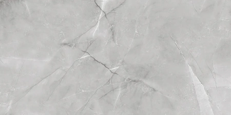 ARMANI SILVER  керамогранит полированный 120x60 см  1142G