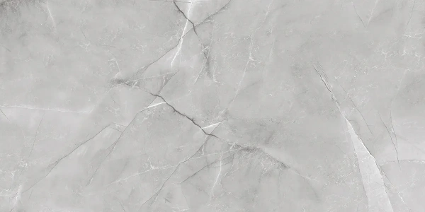 ARMANI SILVER  керамогранит полированный 120x60 см  1142G