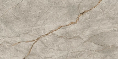Atlas Concorde Empire Silver Root Rett Lapp 60x120