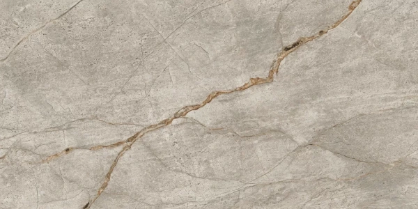 Atlas Concorde Empire Silver Root Rett Lapp 60x120