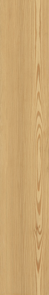 TAGINA Montalcino Larice Dorato 20x120
