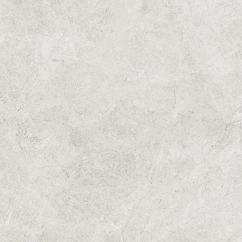 CAESAR Haven Milk 60x60