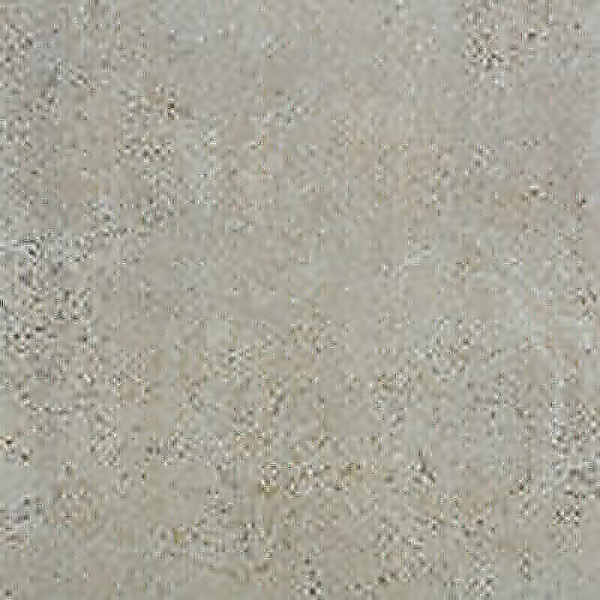 SERENISSIMA Ser 2cm Outdoor Concreta Titanio 100x100