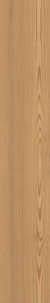 TAGINA Montalcino Larice Miele 20x120