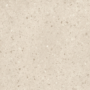 CAESAR Civic Chi Sab 60x60 AIFC